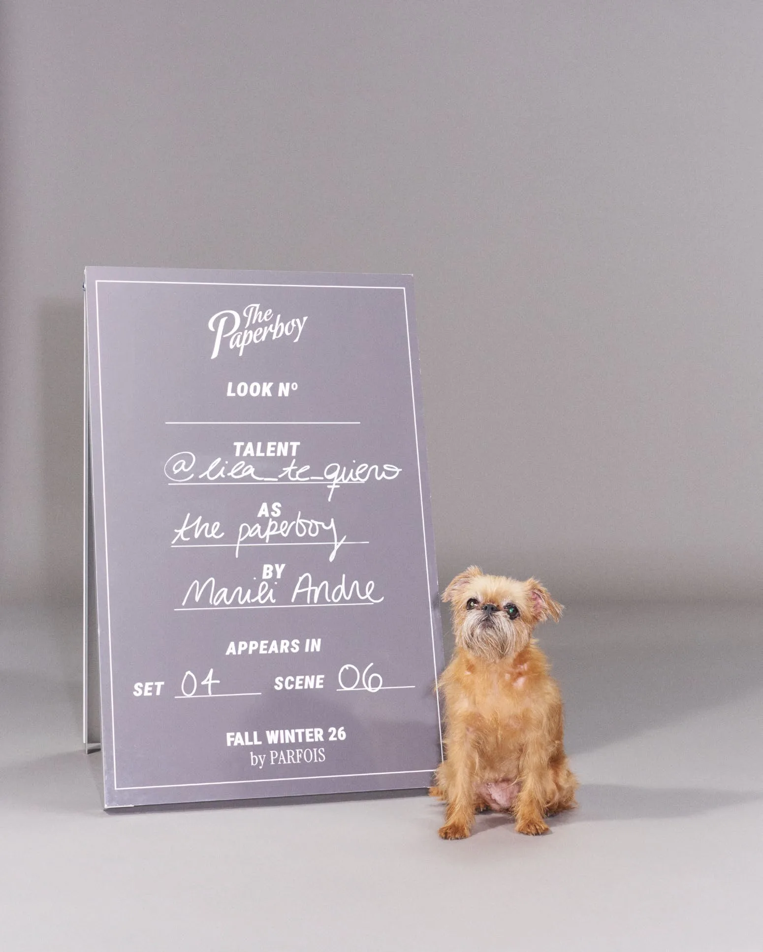 The production clapperboard for look number four, scene six — the dog sits beside it